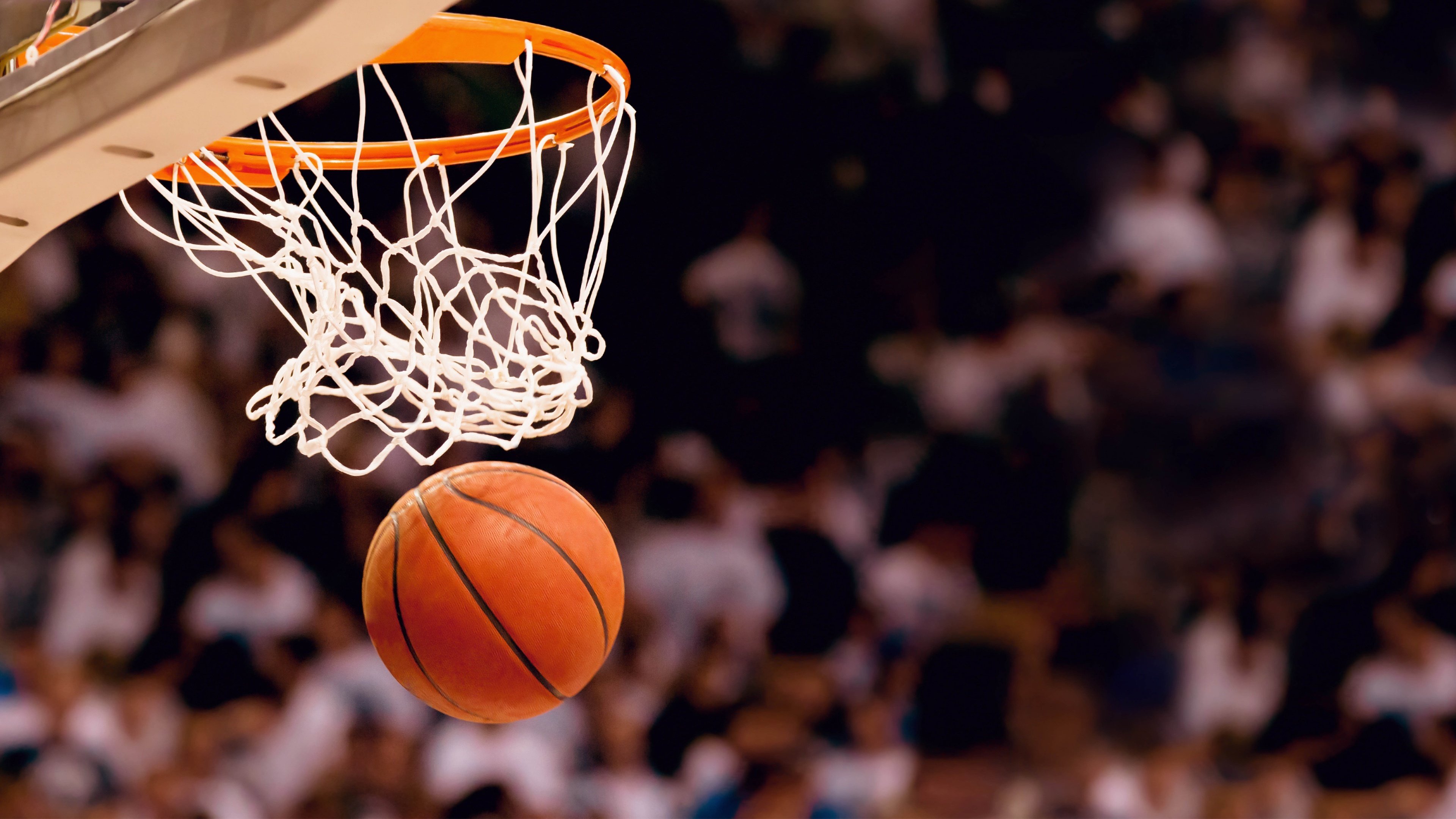 kaiyun平台登录-跨联赛启示录，从德甲复兴到NBA争冠的战术共振